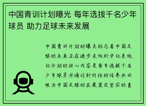 中国青训计划曝光 每年选拔千名少年球员 助力足球未来发展